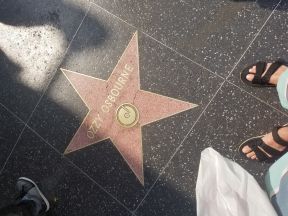 Hollywood Star