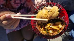 Uni using urchin as dish